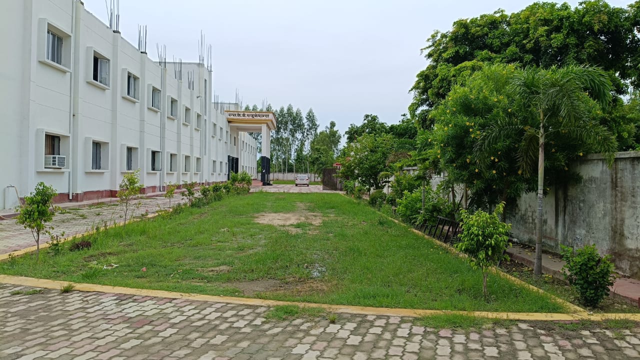 College-View